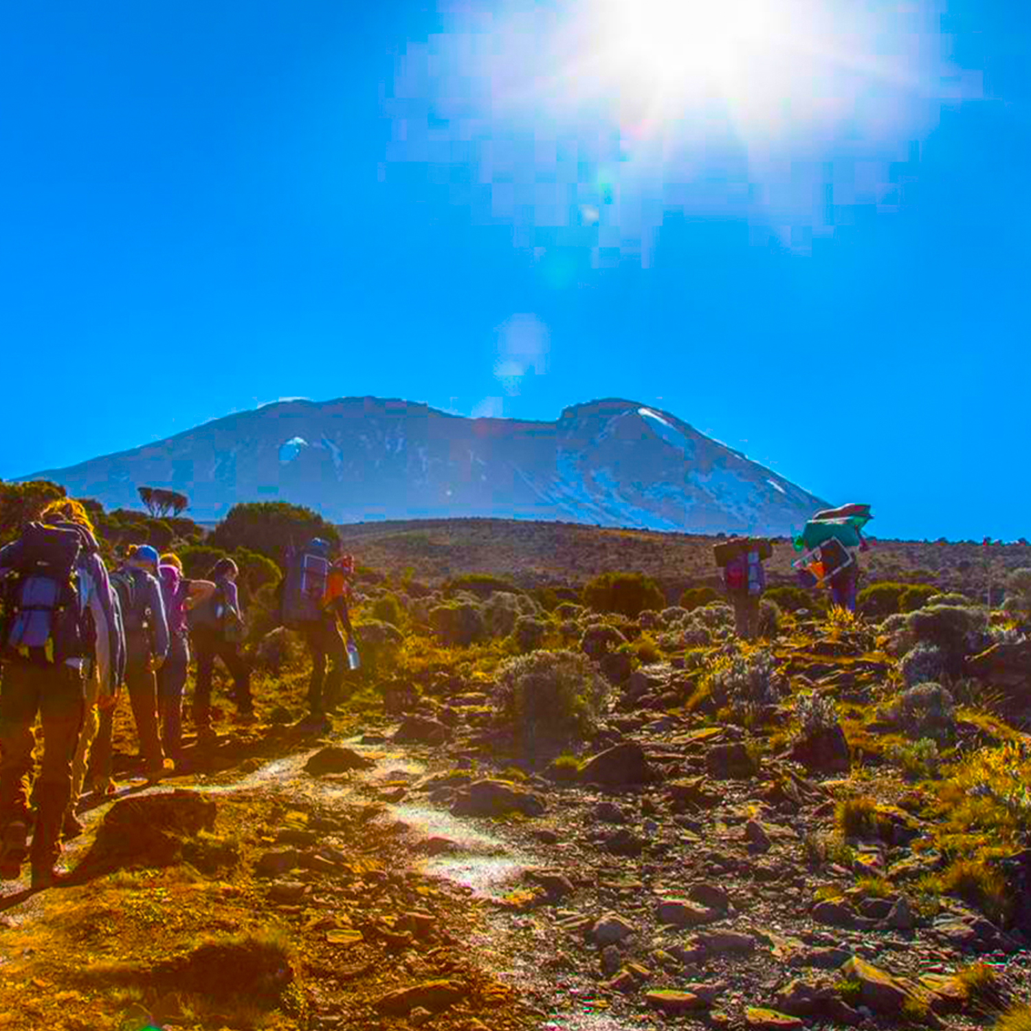 Kilimanjaro 6 Marangu Route